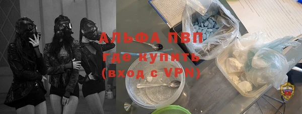стаф Осташков