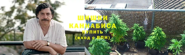 стаф Осташков