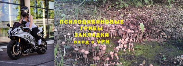 стаф Осташков