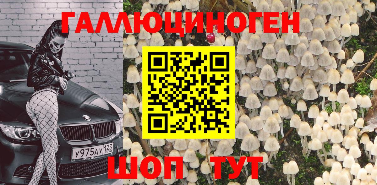 Псилоцибиновые грибы мицелий Шарыпово