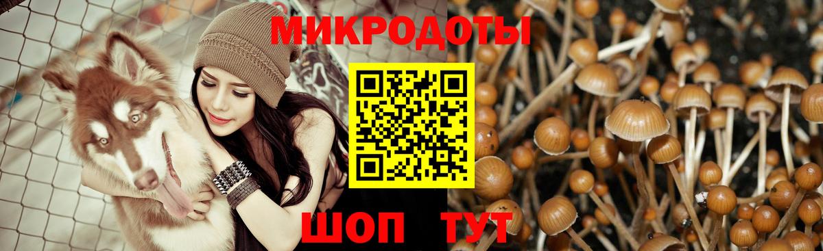 Галлюциногенные грибы Cubensis  даркнет сайт  Шарыпово  Вход с VPN 